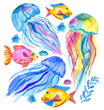 Watercolor Jellyfish Algae And Fish Isolated On White Background. Hand Painting Under The Water Illustration.