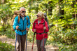© ivanko80 - Senior couple hiking