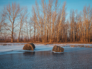 Wall Mural - Winter hay bale