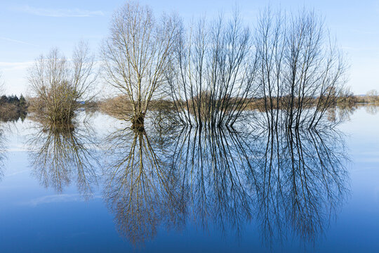 Floods by the River Severn - 29th November 2012 - trees in flooded fields at Deerhurst, Gloucestershire, UK