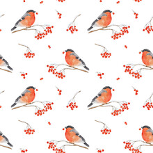 Seamless Pattern With Watercolor Bullfinch On Snow-covered Branch Of Rowan