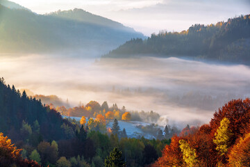 Wall Mural - Autumn scenery of village. Orange, yellow fruit trees, green pine, fields, houses and high mountain with peaks. Natural landscape. Colorful background. The lawn is enlightened by the sun rays.