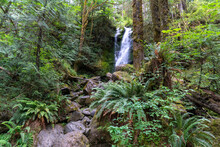 Merriman Falls Waterfall In Olympic National Park Forest