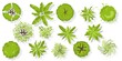 © Volha - Trees top view for architectural and landscape design. Different colored plants and trees vector set. Graphic, isolated on white. Vector illustration. Elements for design projects. Green spaces.