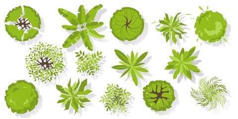 Wall Mural - trees top view for architectural and landscape design. different colored plants and trees vector set