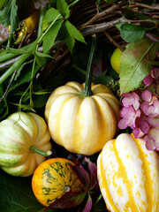 Wall Mural - Autumn composition with pumpkins in beautiful colors and different shapes. Organic vegetables favorite by vegan.