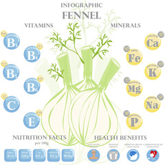 Wall Mural - Fennel nutrition facts and health benefits infographic