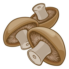 Poster - Mushroom Vegetable Cartoon Illustration