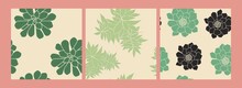Set Of Seamless Patterns. Cartoon Hand-drawn. Green Succulents On A Light Background. Houseplants, Cactus, Succulent, Stone Rose. Vector Illustration.