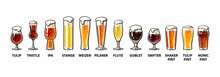 Beer Glassware Guide. Various Types Of Beer Glasses. Hand Drawn Vector Illustration.