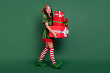 Full Body Profile Side Photo Of Young Girl Happy Smile Walk Hold Gift Box Delivery Christmas Isolated Over Green Color Background