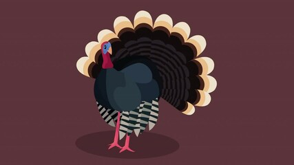 Sticker - happy thanksgiving animation with turkey