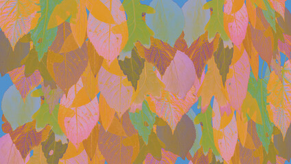 Wall Mural - Graphic composition with stylized autumn leaves close-up. Natural floral pattern. 