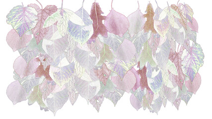 Wall Mural - Graphic stylized autumn leaves isolated on white background. Natural floral pattern.