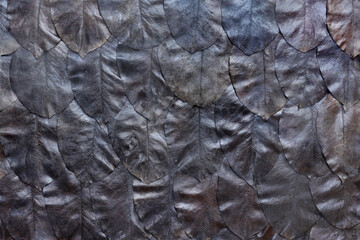 Wall Mural - Fallen dark foliage as natural floral pattern or autumn background for fall season concept.