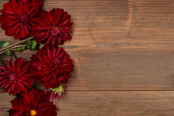 Fotomurales - Red dahlia flowers on brown wooden background, copy space.