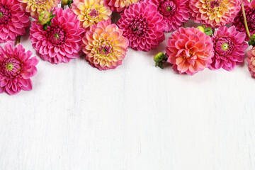 Fotomurales - Colorful dahlia flowers on white wooden background, copy space.
