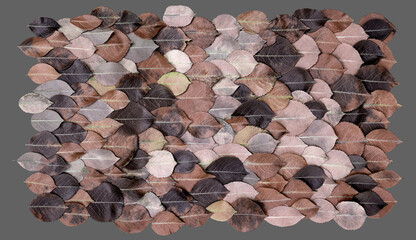 Wall Mural - Fallen foliage as natural autumn pattern isolated on gray background. High quality details.