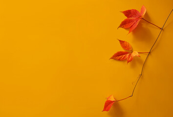 Wall Mural - Minimalistic composition with branch of red autumn leaves on yellow background close-up. Close-up, top view.