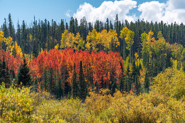 Poster - autumn in the mountains