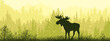 Horizontal banner. Silhouette of moose standing on meadow in forrest. Silhouette of animal, trees, grass. Magical misty landscape, fog. Green and yellow illustration. Bookmark.