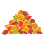 Fototapeta Tulipany - Pile of colorful autumn leaves on white background