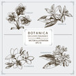 Floral Fragrance, hand drawn illustration, vector elements