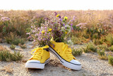 Fototapeta  - Shoes with beautiful wild flowers in meadow