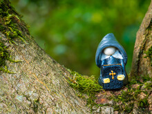 Preacher Gnome In A Tree 