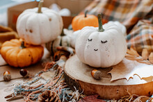 Thanksgiving Day. Halloween. Autumn Season. Cute White Pumpkin . Harvest Pumpkin. Fall Background