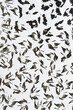 © eugen - ink background - not recognizable property