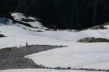 Canvas Print - Hiking on the Brevent mountains,  Haute Savoie, French Alps, Chamonix, France