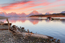 Overview Of Jackson Lake With Dead Dry Wood Log In Foreground Before Sun Rise Viewing From Signal Mountain Campground At Grand Teton National Park, Wyoming USA.