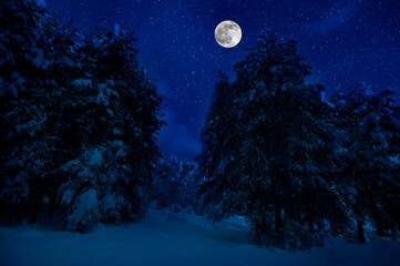 Wall Mural - mountain road through the snowy forest on a full moon night. scenic night winter landscape of dark b