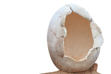 Dinosaur Egg Isolated On White Background With Clipping Path