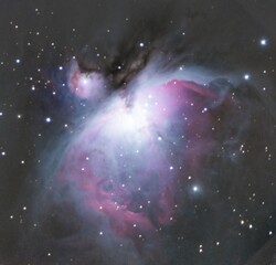 orion nebula