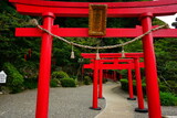 Fototapeta Natura - Torii Gate of Hakuryuu Inari Shrine in Oita, Kyushu, Japan - 日本 九州 大分県 別府 白龍稲荷大神 鳥居	