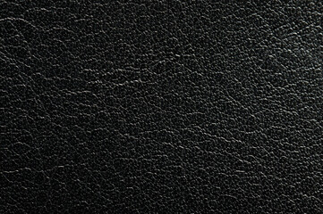 Canvas Print - Rough black leather skin texture