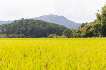 日本の岡山県総社市の吉備路の美しい風景