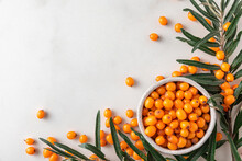 Fresh Ripe Autumn Sea Buckthorn Berries With Leaves On White Background. Top View With Copy Space