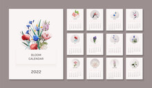 Calendar 2022, Card Pages Of Calendar With Separate  Monthes Cards, Botanical Illustration With Flowers, Social Media Posts Design, Warm Colors, With Organic Shadow