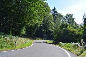 Canvas Print - kurvige Eifelstraße am Rande des Moseltal