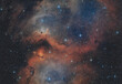 Soul Nebula