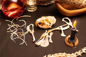 Wall Mural - Animal skull and bones arranged with black candle on witch table. Background with magic items. Occult and esoteric concept. Mystic Halloween. Magic chemistry and witchcraft.