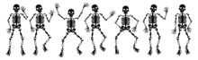 Set Of Halloween Skeletons On White Background - Vector