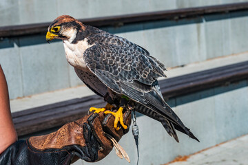 Vogelpark Marlow