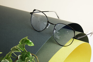 fern and eye glasses on rolled green paper, vision test concept, beautiful stylish fashion accessories in optics