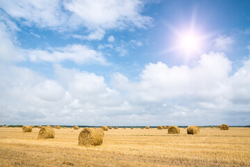 Wall Mural - Stack of straw on the field.