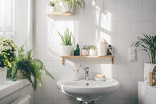Modern White Bathroom With A Washbasin, Big Window, And Many Green Plants. Shadows On The Wall. Home Comfort Zone. Wellness