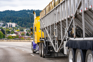 Bright yellow and purple classic big rig semi truck transporting agriculture cargo at bulk semi trailer running on the city overpass highway road